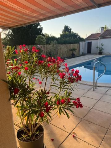 Les Voyages De Louison Bed & Breakfast Lavardac Екстериор снимка